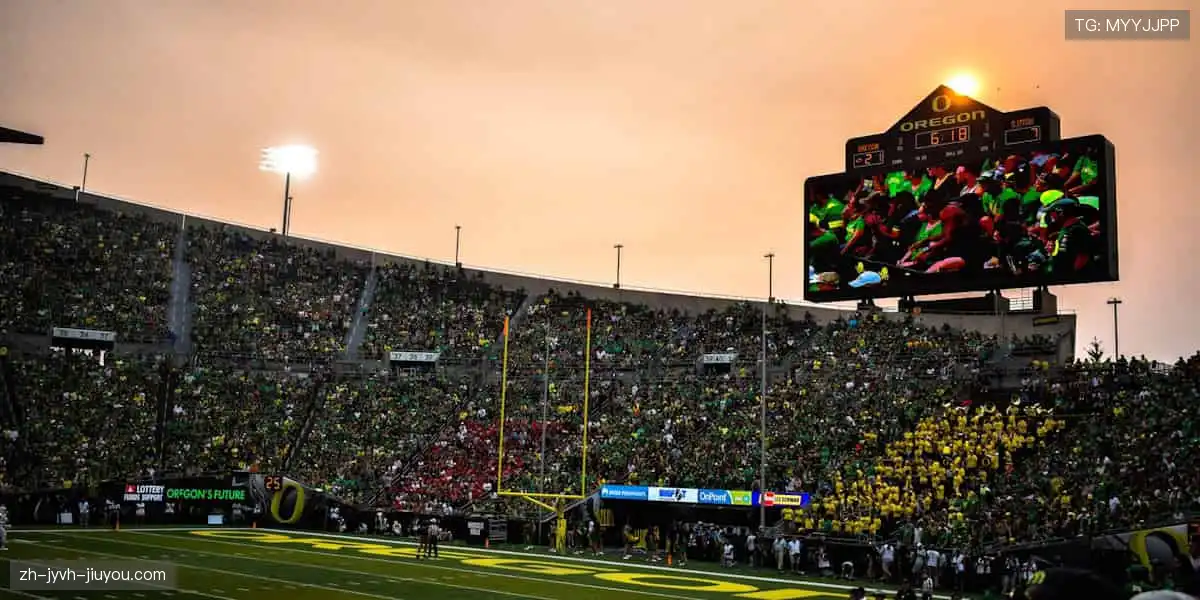 🏋️♂️专业品质,耐用舒适!从健身器材到运动服饰,你的健康首选!🎽